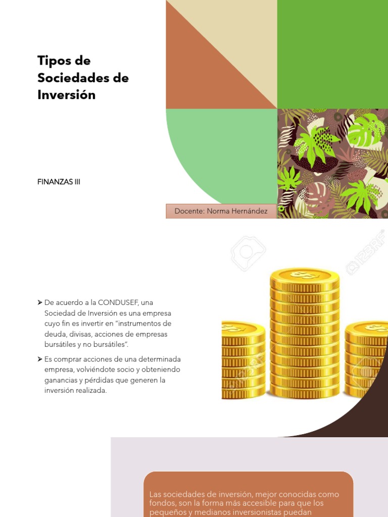 Tipos de Sociedades de Inversión | PDF | Empresa de inversiones ...