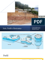 Análise Da Pedopaisagem e Descrição Morfológica de Um Perfil 10.10.2022