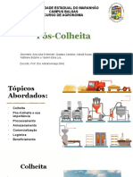 Trabalho Pós Colheita