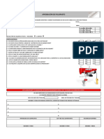 Check List Polipasto