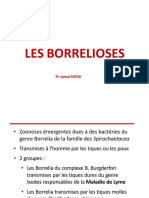 9 - Les Borrelioses