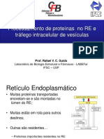 Aula 4 Tranporte Vesicular