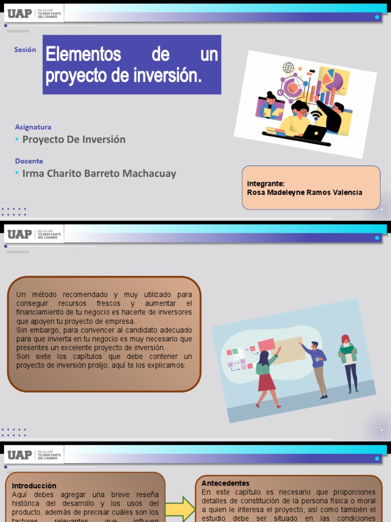 Elementos de Un Proyecto de Inversión Expo | Descargar gratis PDF ...