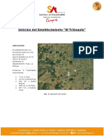 Informe Del Establecimiento "El Triángulo": Ubicación