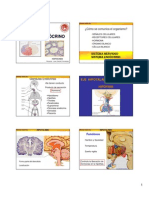 5 endocrino 2010