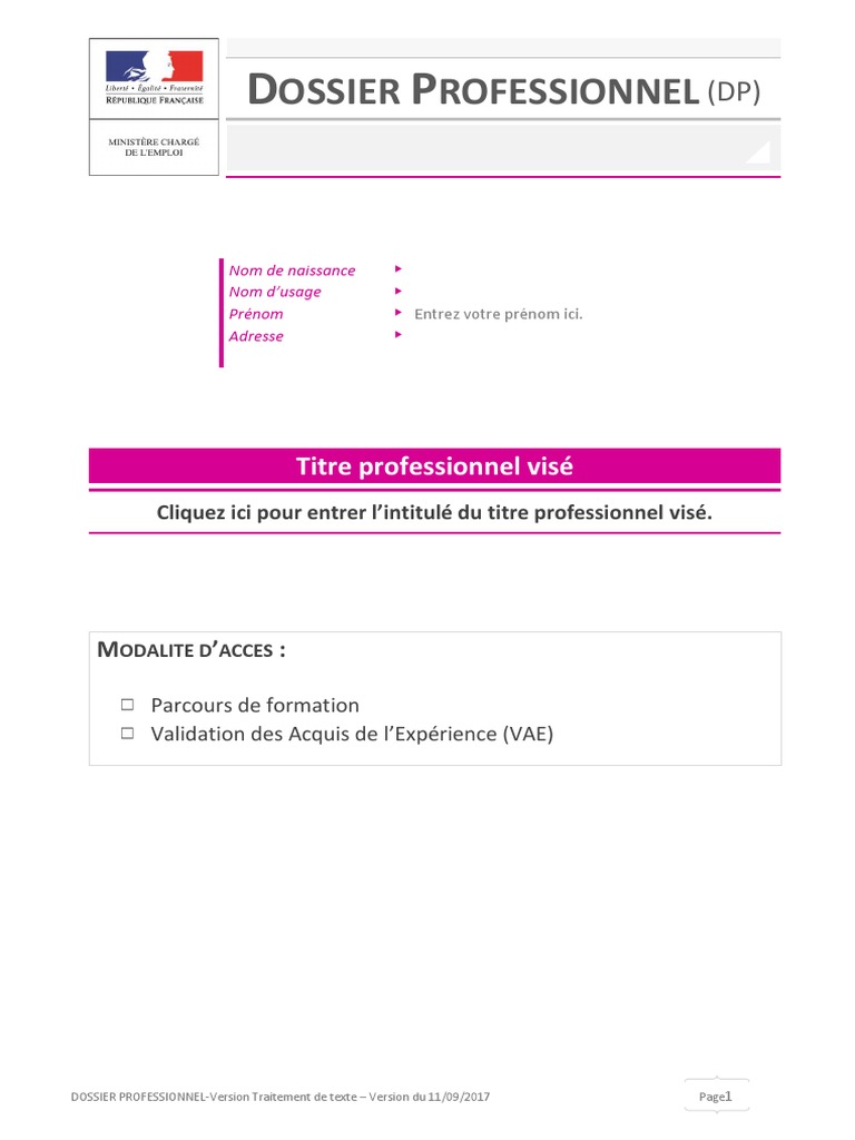 Dossier Professionnel : Guide Complet | PDF
