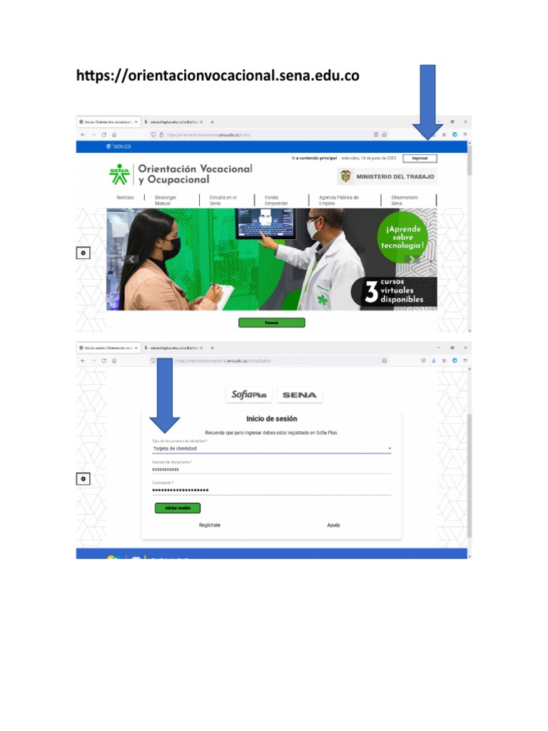 Paso A Paso para Realizacion de Test Vocacional y Caraem | PDF