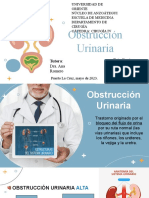 Seminario Obstrucción Urinaria