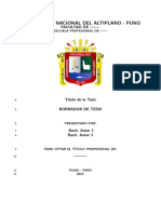 Thesis Format Universidad Nacional Del Altiplano