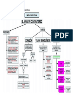 Mapa Conceptual 