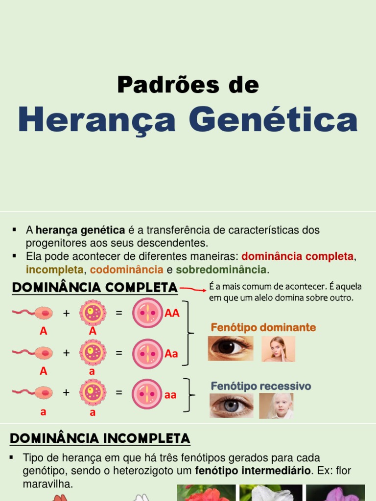Padroes Da Heranca Genetica | PDF