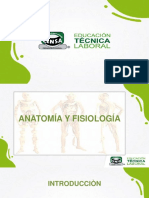 Leccion 2. Anatomia y Fisiologia