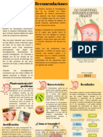 Triptico Bacteria Helicobacter Pylori