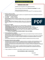Precisiones Del Dia de Logro 2023 PDF