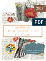 Pie Plano