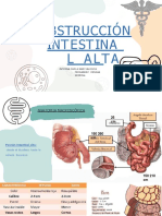 Obstruccionintestinalalta 230423205704 Ae56f056