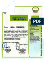 Certificado Ca1