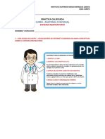 Practica Calificada N°8 Sistema Respiratorio