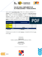 Constancia de Cabal Cumplimiento de Funciones para Trabajadores y Trabajadoras C