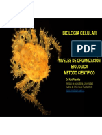 2° Niveles de Organizacion Biologica