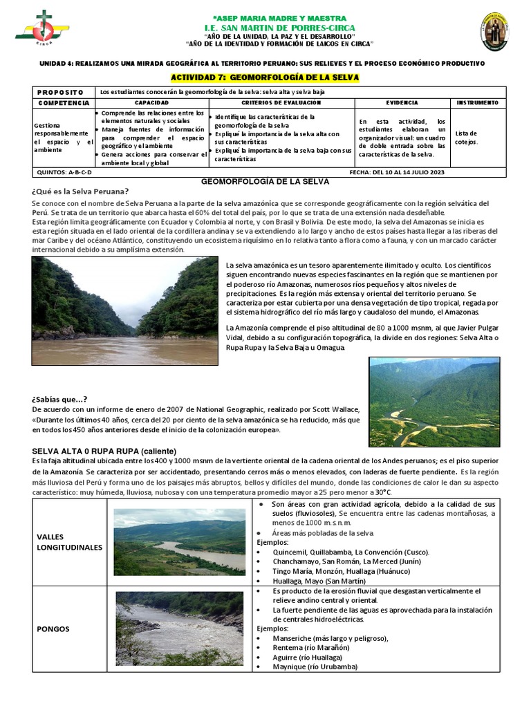 Geomorfología de la Selva Peruana | PDF | Deforestación | Perú