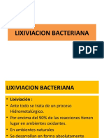 Lixiviacion Bacteriana