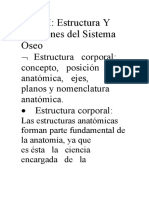 Trabajo Tramo 1. Estructura y Funciones Del Sistema Oseo