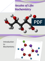 Molecules of Life (Macromolecules) PowerPoint