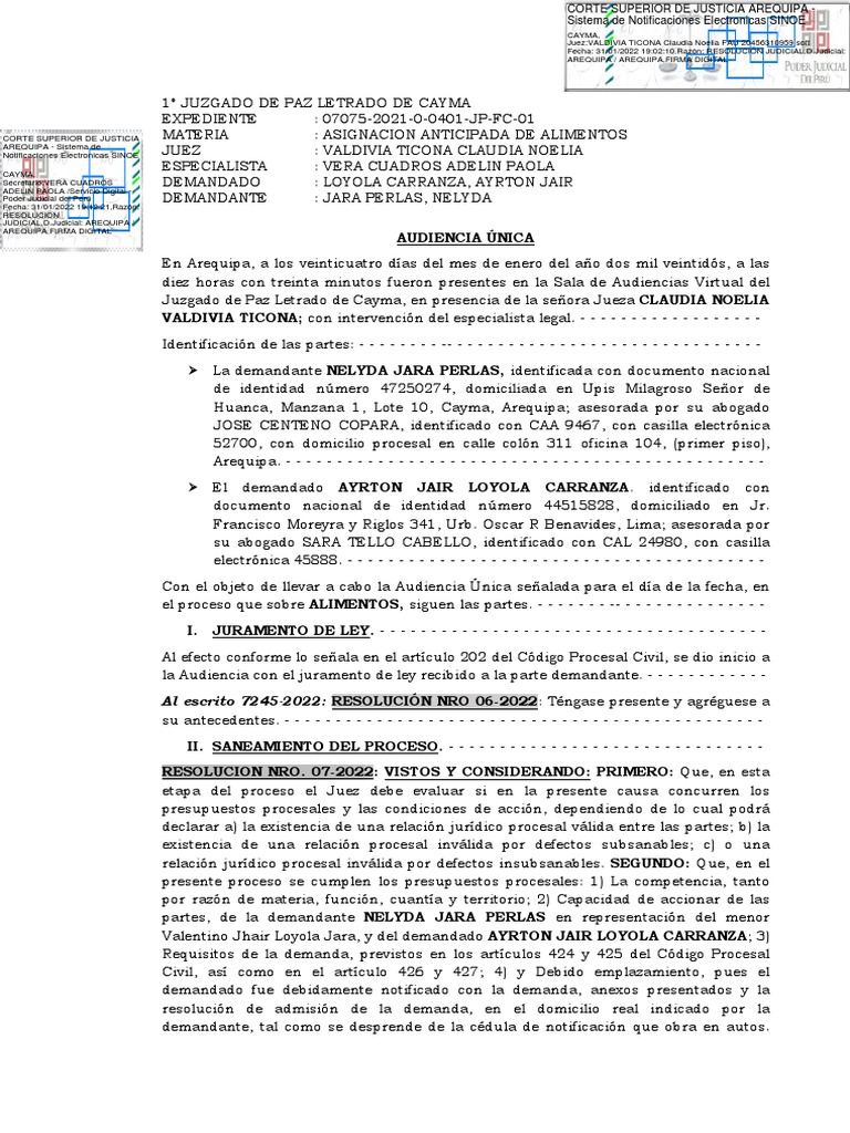 Audiencia Unica PDF Demanda judicial Ley procesal