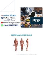 Sistema Muscular - Mufasa Fitness