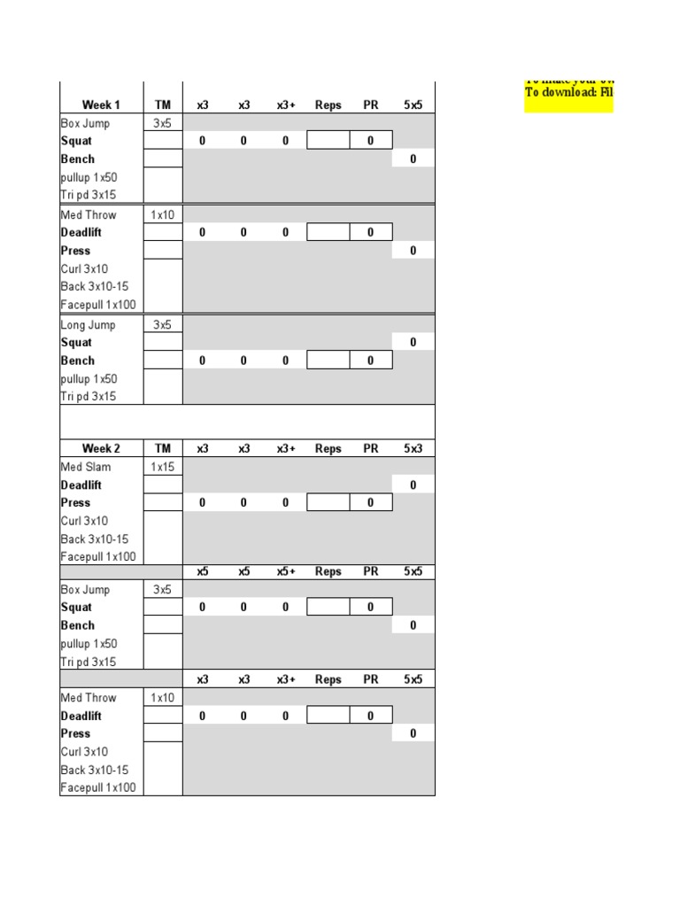 5:3:1 | PDF | Physical Exercise | Software