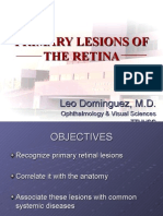 Primary Lesions of the Retina - #1