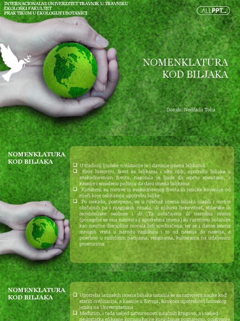 Nomenklatura Kod Biljaka - 142056 | PDF