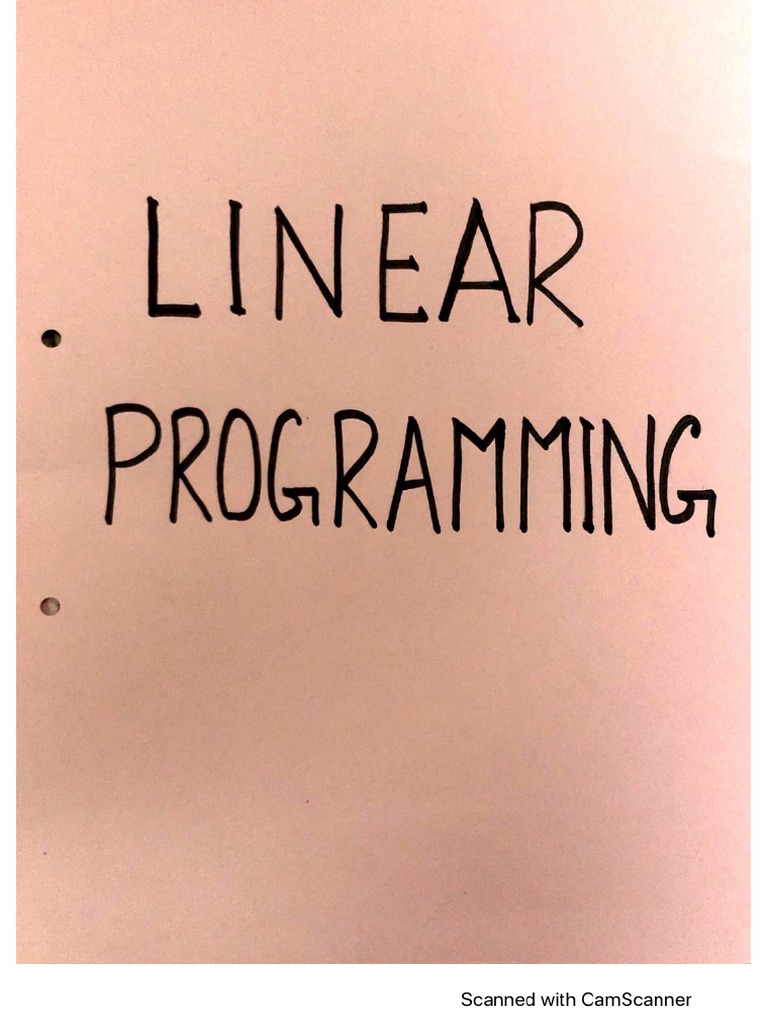 Linear_Programming_Project (2) | PDF