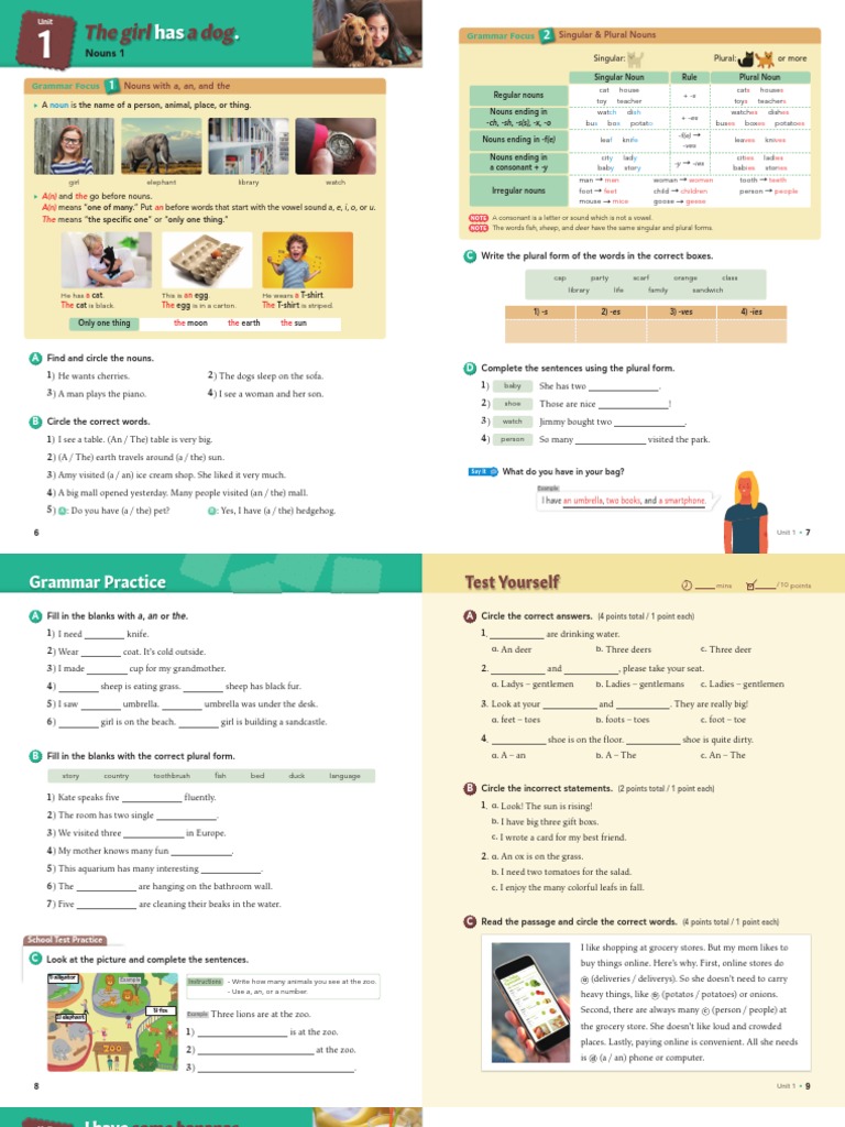 Noun Usage and Grammar Practice | PDF | Plural | Grammatical Number