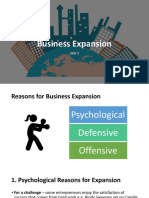 Business Expansion PPT 1