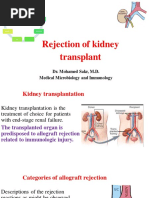 Micro - Rejection of Kidney Transplant