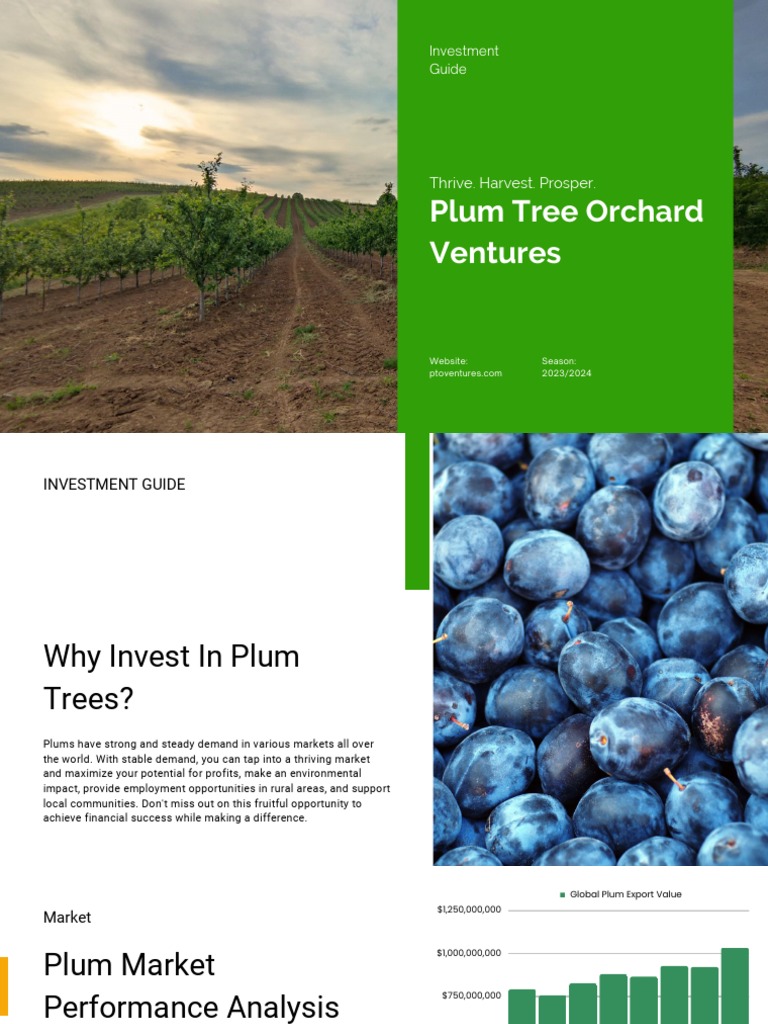 Plum Tree Orchard Ventures Investment Guide 2023 PDF Investing