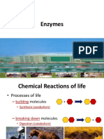 Lecture5 Enzymes