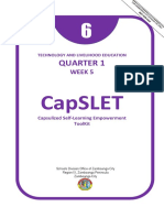 TLE6 CapSLET Agri Q1 W5