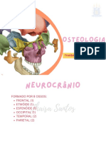 1 e 2 - Osteologia