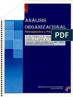 Analisis Organizacional Sea p1