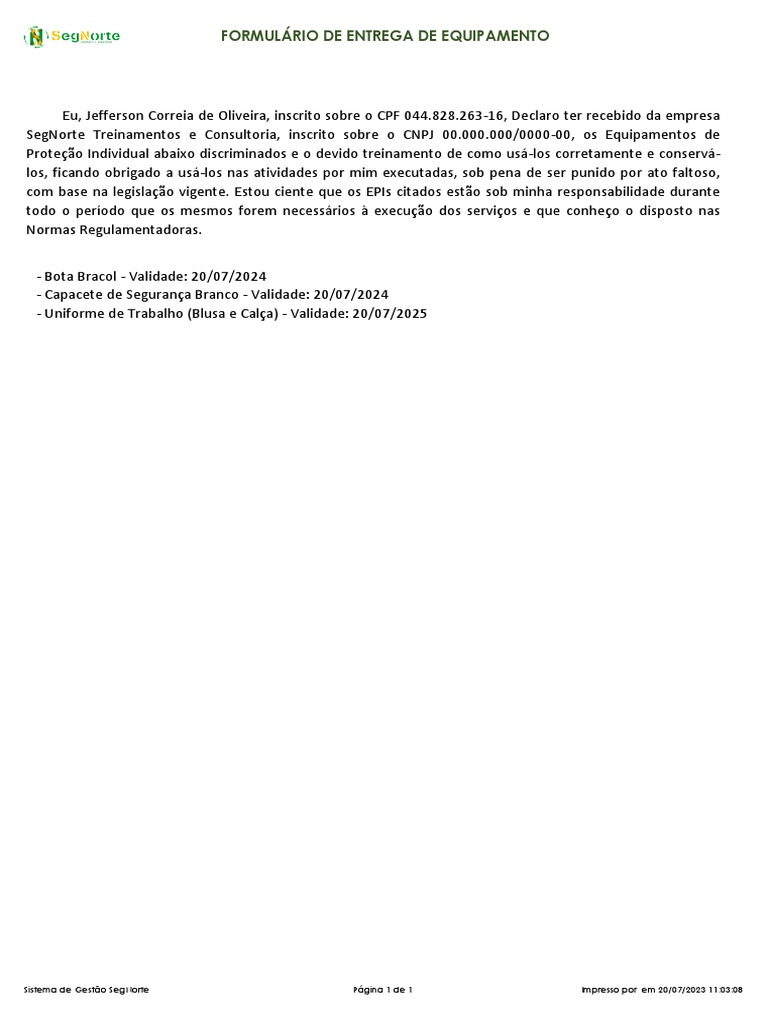 Modelo entrega epi pdf