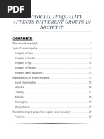 How Social Inequality Affects Different Groups in Society