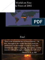 A World On Fire: The Fires of 2002
