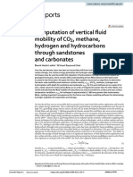 Computation Vertical fuidomobilityCO2