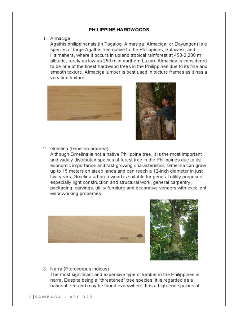 Top Philippine Hardwood Trees | PDF | Wood | Trees