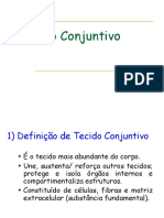 1.3 Aula - Tecido Conjuntivo Modif.