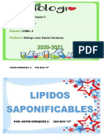 Clases de Lipidos Saponificables