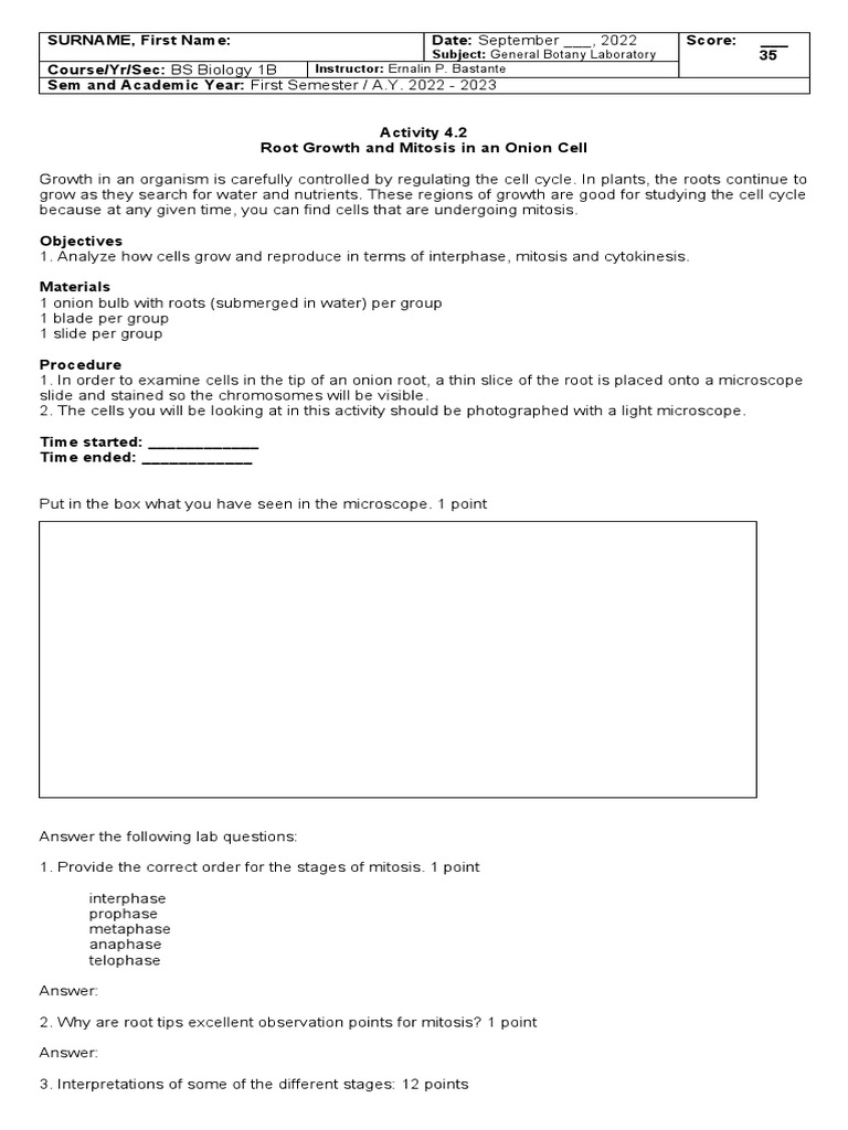 Activity 4.2 Root and Mitosis in An Onion Cell PDF Mitosis Cell Cycle